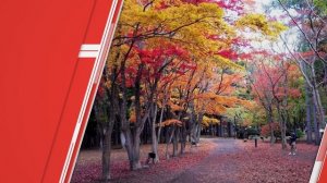 "HAKODATE" Top 45 Tourist Places | Hakodate Tourism | JAPAN