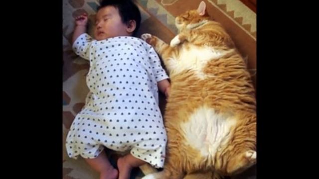 Официальная реклама блога Мир приколов! смотреть онлайн