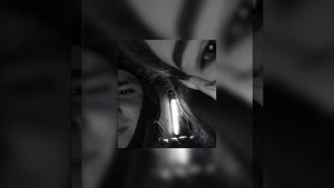 white gallows – сердце