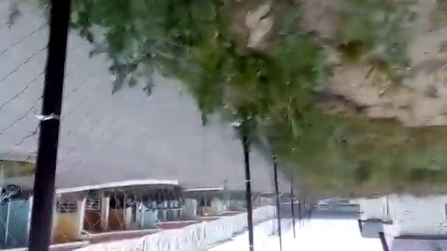 Самодельный ТРАМПЛИН?? смотреть онлайн