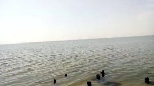 Бейсугский лиман 26.04.19