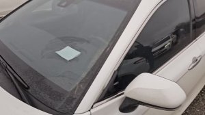 Авторынок Чечни Петропаловка 17.02.2024