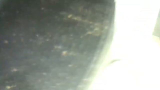 Vw T5.1 Caravelle 2011 underneath bitdi 2.0 смотреть онлайн