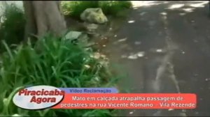 Mato em calçada atrapalha passagem de pedestres na rua Vicente Romano   Vila Rezende