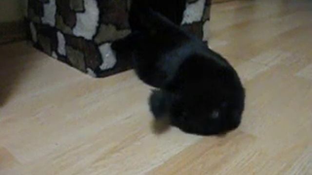 Вдруг откуда ни возьмись... смотреть онлайн