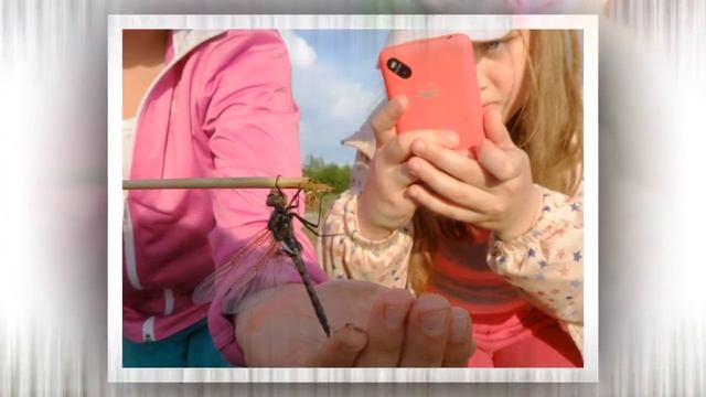 Вечер Пруд Прогулка Сива смотреть онлайн