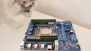 ?? Windows 11 on LGA 2011-3 / X99 – how to install and tests vs Windows 10 | E5-2640 V3, RX 6800XT