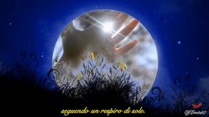 Andrea Parodi - Un alenu e sole (traduzione)