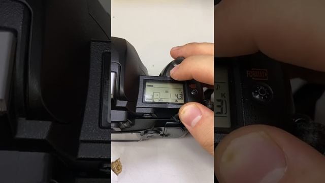 Фотик Nikon D70s смотреть онлайн