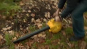 Взлетел с помощью воздуходувок