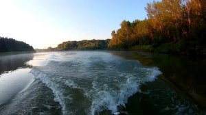 ТЕСТ Tohatsu 5 лс  M5B и лодки Patriot 310  Малышевская протока Алтайский край август 2022