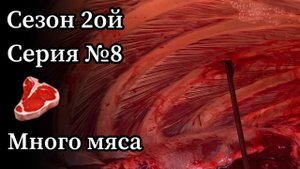 Аляска. День 6. Разделываем добытого лося.