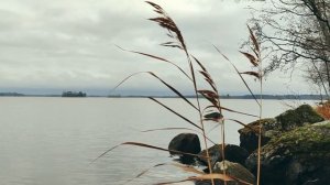 Рыбалка на Вуоксе. Поймали много впечатлений.