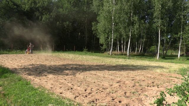 17.07.2023. Заделка сидератов фрезой ФР-00010. Мотоблок МТЗ Weima WM188F 13л/с смотреть онлайн