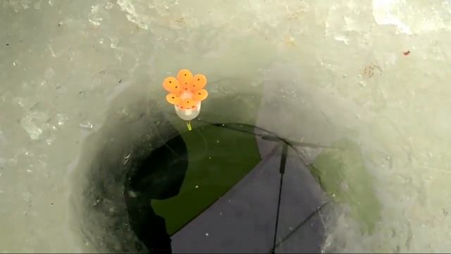 Чудо зимний поплавок