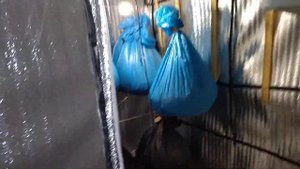 ФЕРМЕНТАТОР ДЛЯ ТАБАКА С Ц/Ж/ СРОКИ ФЕРМЕНТАЦИИ ДЛЯ РАЗНЫХ СОРТОВ ТАБАКА