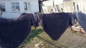 Пуховые полушалки  и пуховая шаль очень больших размеров.