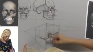 Дарья Остапенко о том, как правильно рисовать череп человека