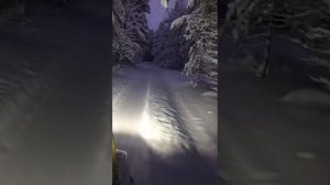 Буран с двигателем Лончин 30 л.с.