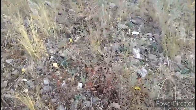 Как в Блаблакар (Blablacar) эффективно оформлять поездки на дальние расстояния. смотреть онлайн