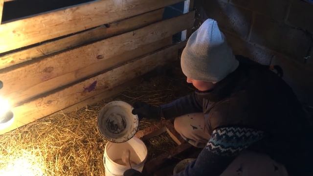 ЧТО С ЦЫПЛЯТАМИ, ПОРОСЯТАМИ И ЖЕРЕБЕНКОМ КОТОРОГО ОТНЯЛИ ОТ МАТЕРИ НА МОЛОДОЙ ФЕРМЕ. ПРОШЛА НЕДЕЛЯ смотреть онлайн