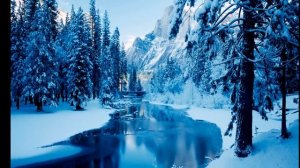 Bond - Winter