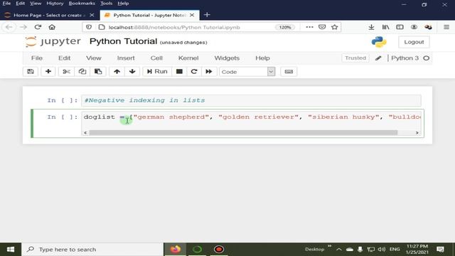 Negative Indexing Of Lists | Python 4 You | Lecture 94
