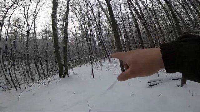 Подводим итоги сезона коллективной охоты 2020 года. Загон, охота на копытного зверя. смотреть онлайн