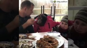 Дана обедает с Олегом Зубковым в кафе
