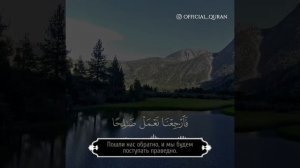 Саид Дубаха...