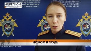 ЖЕНЩИНА УБИЛА СОЖИТЕЛЯ ИЗ-ЗА КОНФЛИКТА • НОВОСТИ КАМЧАТКИ