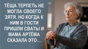 Теща терпеть не могла своего зятя. Но когда к ним в гости пришли сваты и мама Артема сказала это…