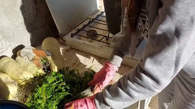 УТРО В ДЕРЕВНЕ \ КАК ЖИВЕТ ОБЫЧНАЯ СЕМЬЯ В ДЕРЕВНЕ \ ЖИЗНЬ В ДЕРЕВНЕ \ СЕМЬЯ В ДЕРЕВНЕ смотреть онлайн