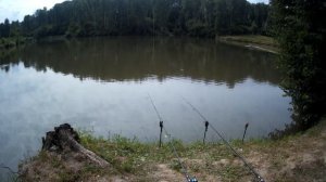 Карп клюет на селедку лучше чем на кукурузу.