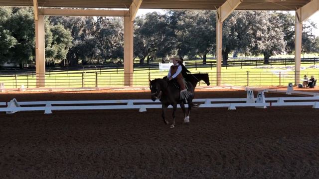 Lynn Palm and Sucha Fine Knockout, WDAFL Championships Basic Level Test 3, 71% смотреть онлайн