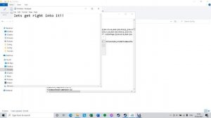 Borderlands Game Of The Year |Lag Fix| Solo and multiplayer PC!