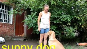лабрадор и немецкая овчарка разница в дрессировке