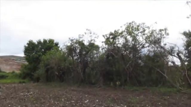 Лешевичи-1, 08.05.17 контейнер 01 смотреть онлайн