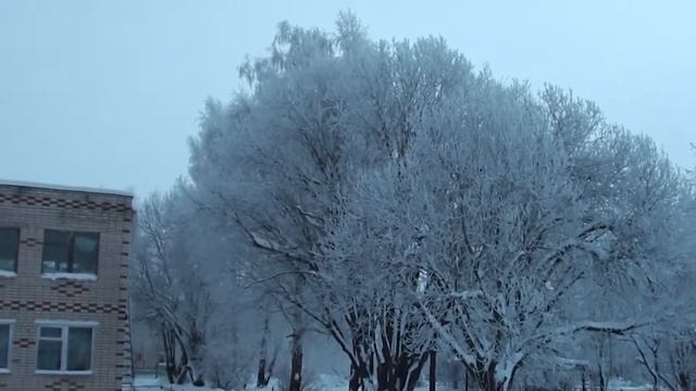 Иней на деревьях 29 декабря 2021 п. Никологоры смотреть онлайн