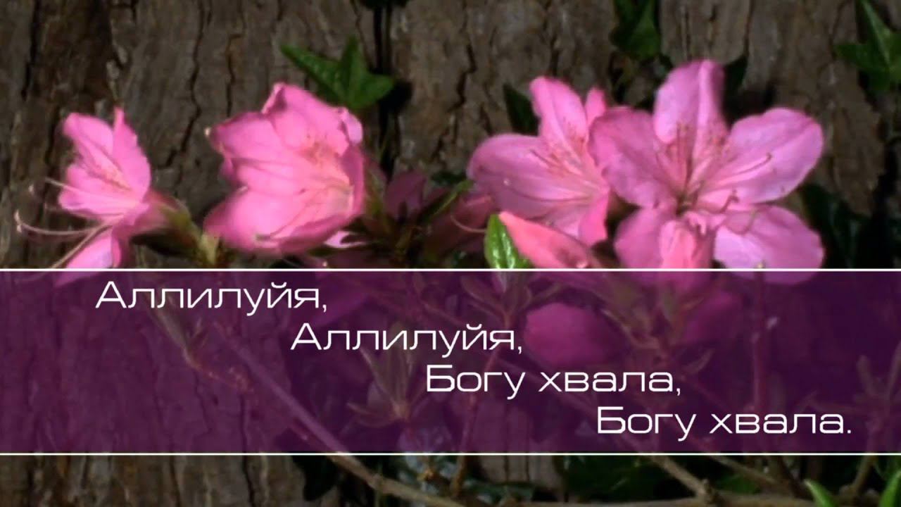 Христианское поклонение. Сборник №55