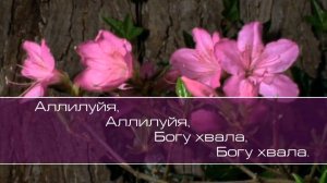 Христианское поклонение. Сборник №55