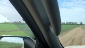 Выбираем лучший медонос: подсолнух, рапс или разнотравье. Куда поставить пчёл и где лучше выделение