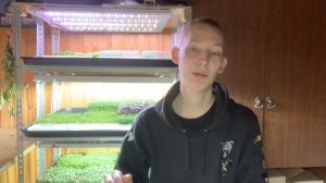 Какая температура нужна для выращивания микрозелени! Бизнес на микрозелени!