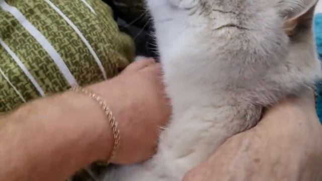 Перенервничал.. Сколько нужно денег смотреть онлайн