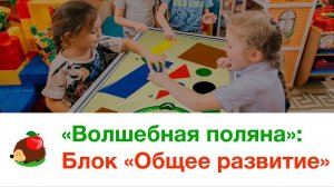 «Волшебная поляна»: блок «Общее развитие»