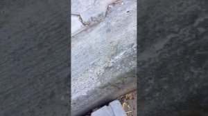 Лак из пенопласта своими руками без лишней болтовни.