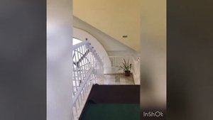 Театр кукол Шут Воронеж Теремок