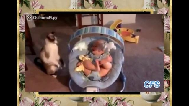 Кошки и дети видео приколы!