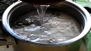 Рецепт варенья из сосновых шишек. Pine cone jam recipe.