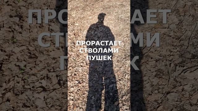 #ВИДЕОПОЭЗИЯ